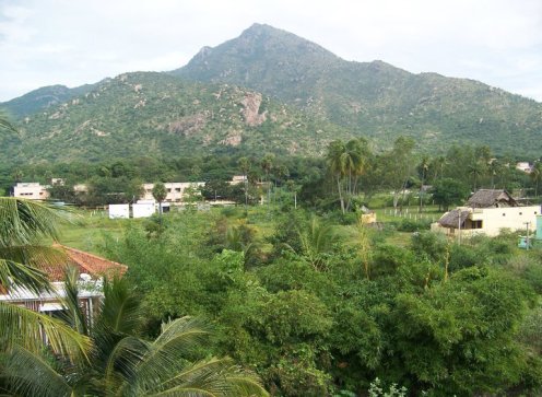 247780_10152193465695182_307233657_n