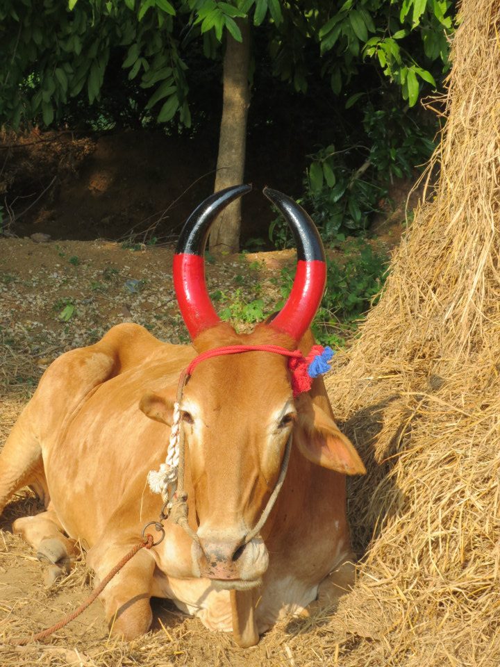 164478_10152569994310182_175785032_n