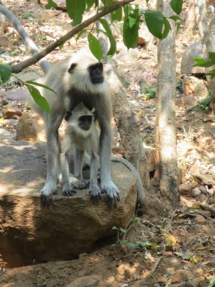 560501_10152570003395182_316236570_n