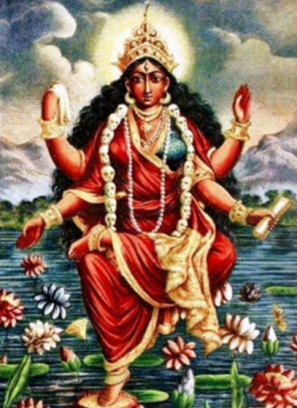 Screen Shot 2018-12-27 at 8.35.54 PM